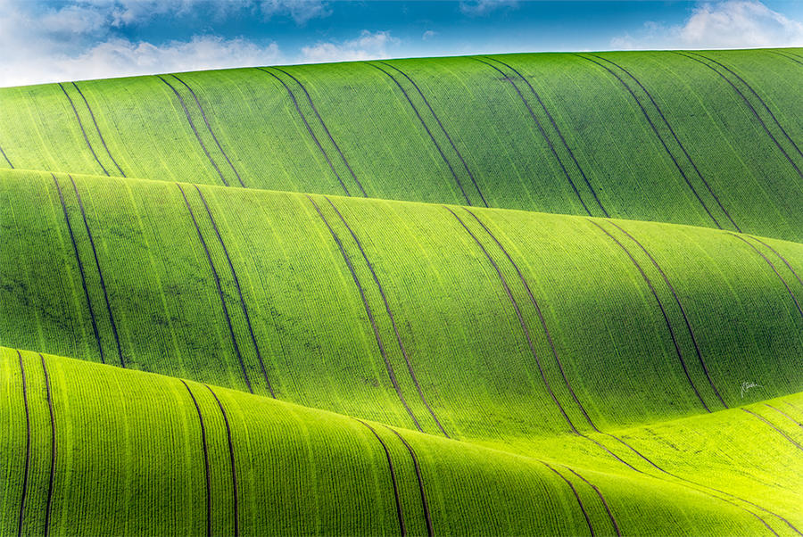 -Possitive waves- by Janek-Sedlar