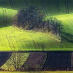 -Moravian island- by Janek-Sedlar
