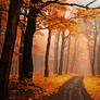 -Secrecy of autumn roads-