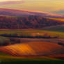 -Late evening in Moravia-