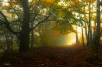-Autumn melodies- by Janek-Sedlar