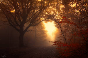 -Inner evening- by Janek-Sedlar -Inner evening- by Janek-Sedlar