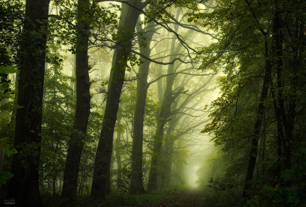 -Pilgrimage over the god's sanctuary- by Janek-Sedlar