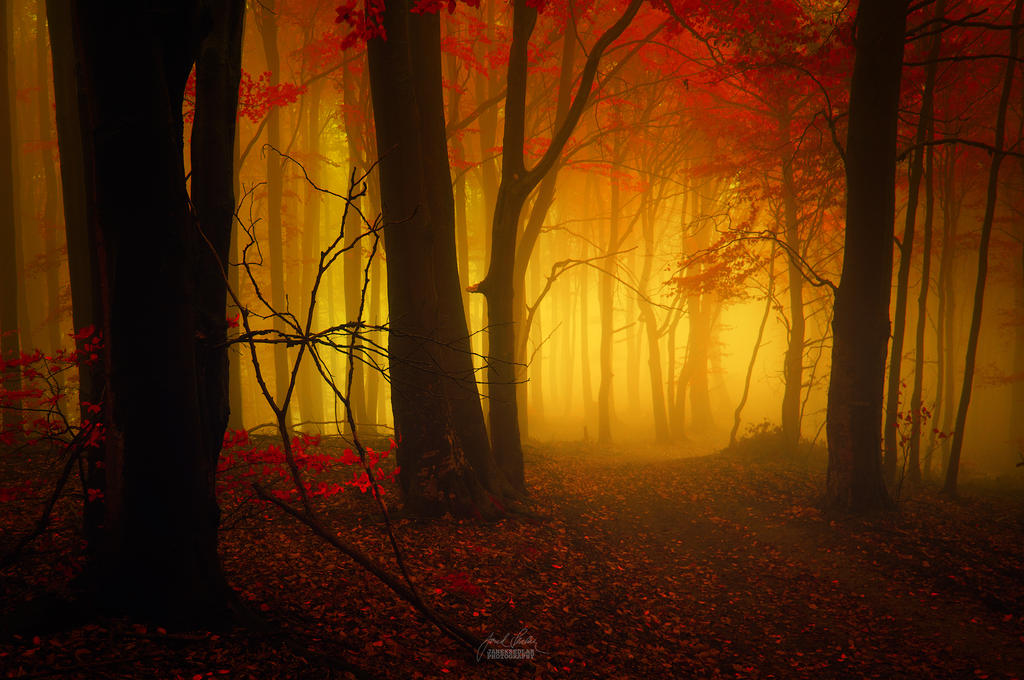 -Opening of the new dimension- by Janek-Sedlar