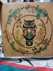 owl painting 