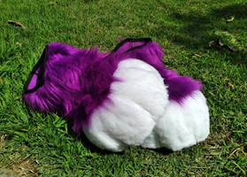 Purple/White Lynx Paws