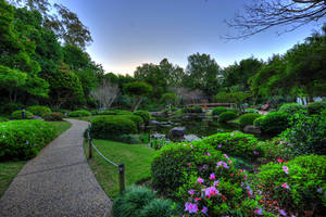 Brisbane Botanical Gardens 07