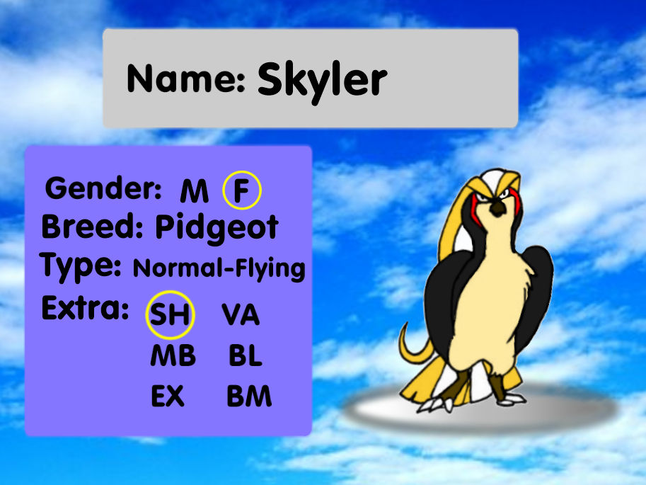 Skyler Ref 11 by GSEkitty on DeviantArt Skyler Ref 11 by GSEkitty on DeviantArt