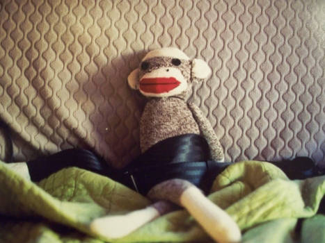 Sock Monkey