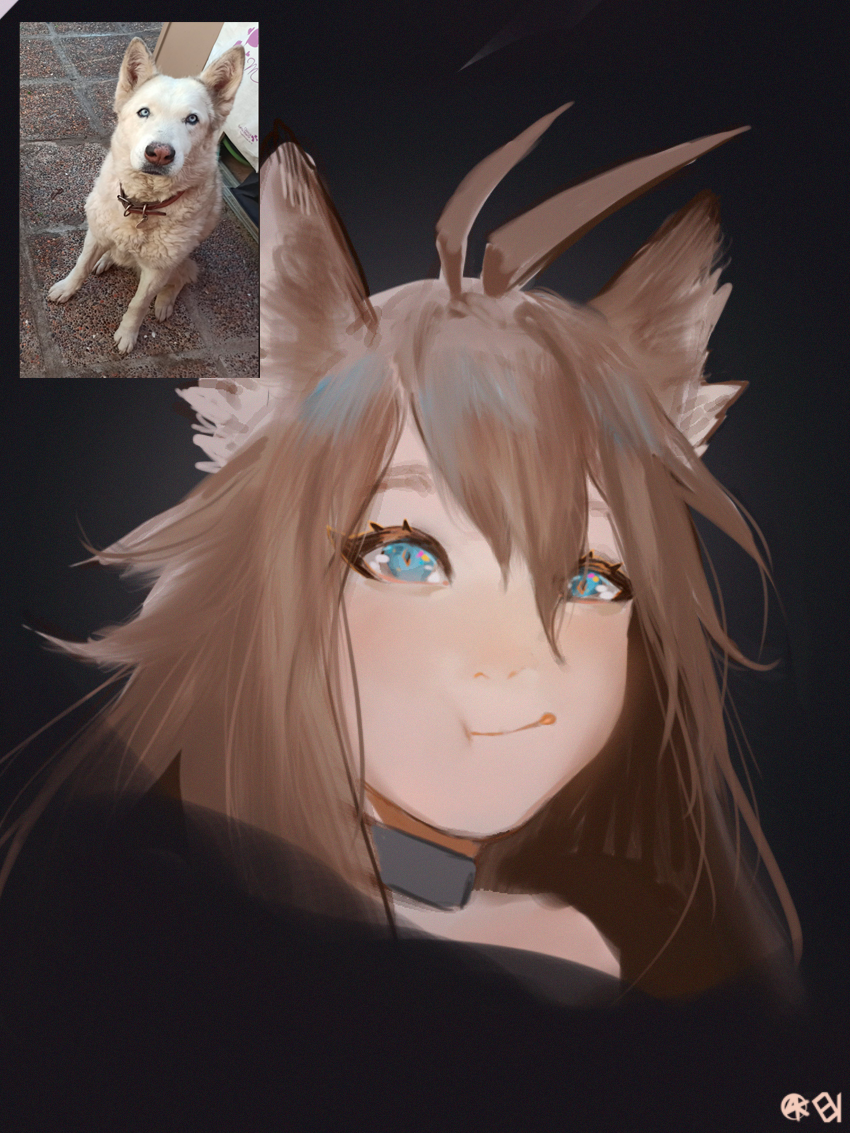 Humanized dog by Furvok on DeviantArt