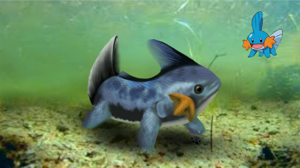 Mudkip Real Realistic Mudkip by Attack-On-Lion on DeviantArt