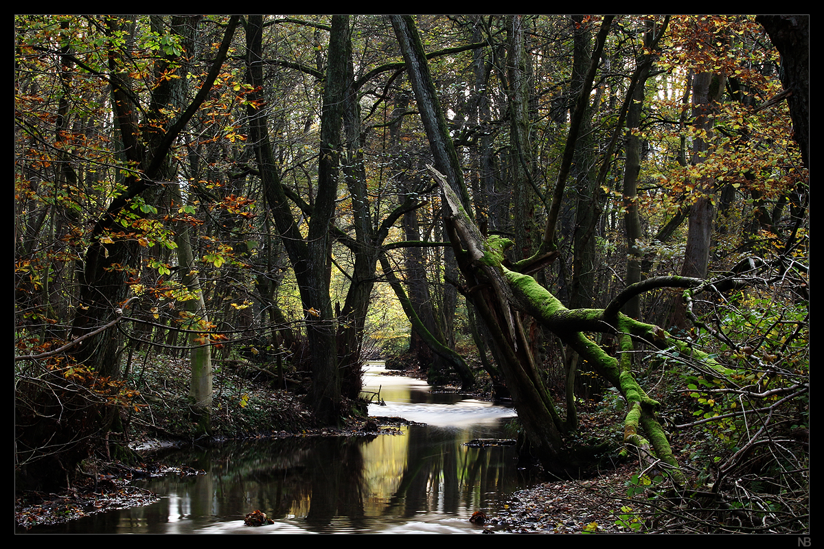 creek