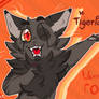 I'M TigerFANG