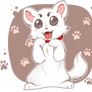 SADAHARU