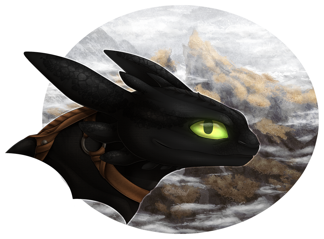 | Toothless | by CircularDestroy on DeviantArt