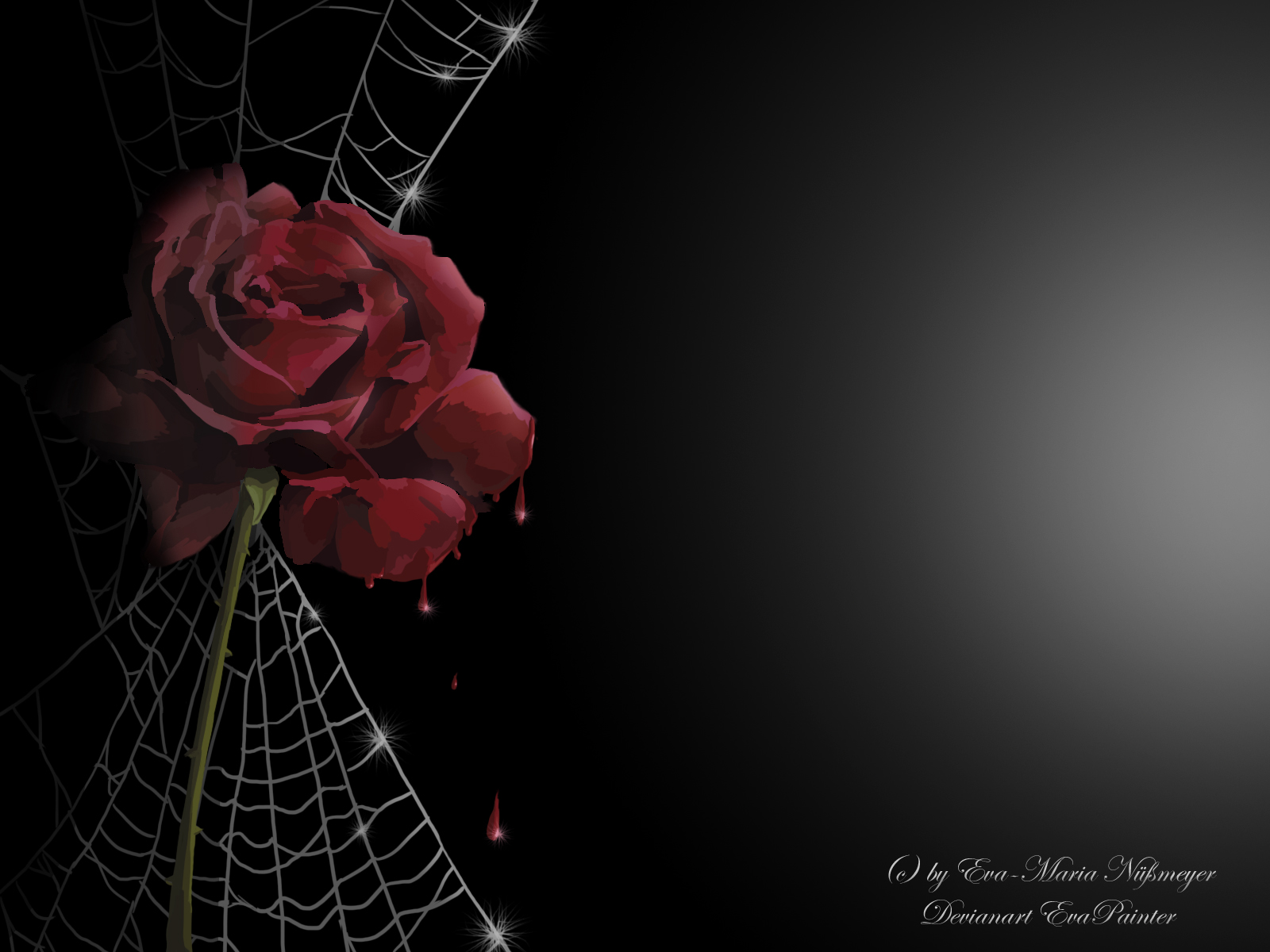 Rose and Spiderwebs Wallpaper