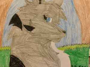 Animal Jam Wolf!