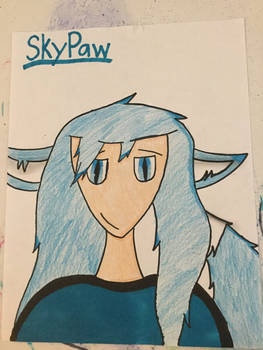 SkyPaw