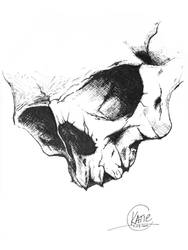 Skull sketch