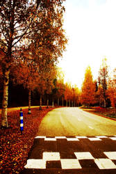 road to autumn