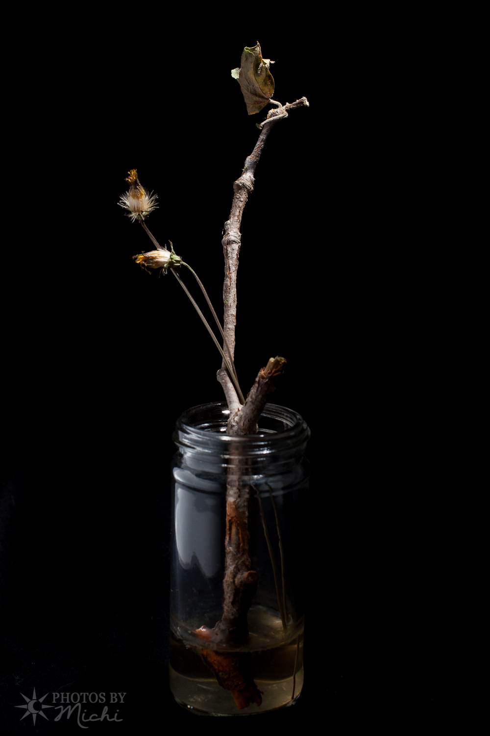 Still Life with Weeds and Twig