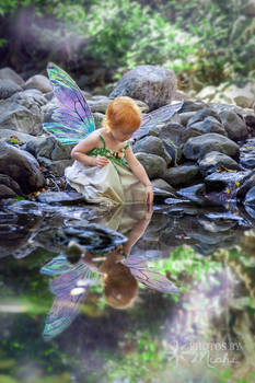 Faerie Reflection