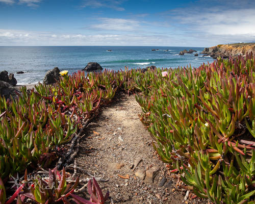 A path to the beach