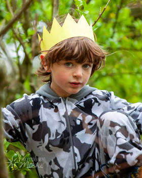 King of the Wild Things