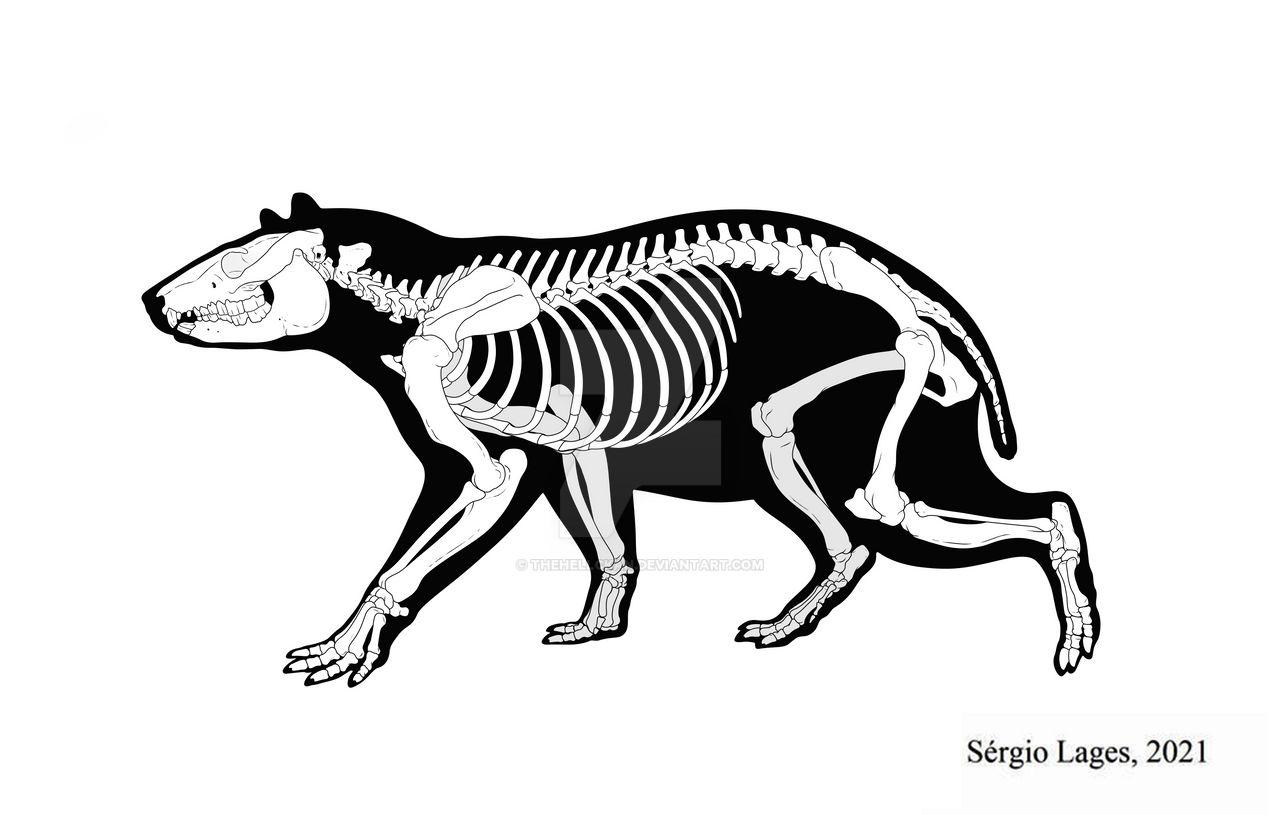 Trachytherus skeleton by TheHellckan on DeviantArt
