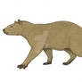 Trachytherus life reconstruction