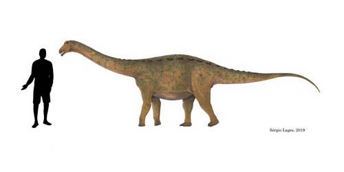 Ibirania life reconstruction