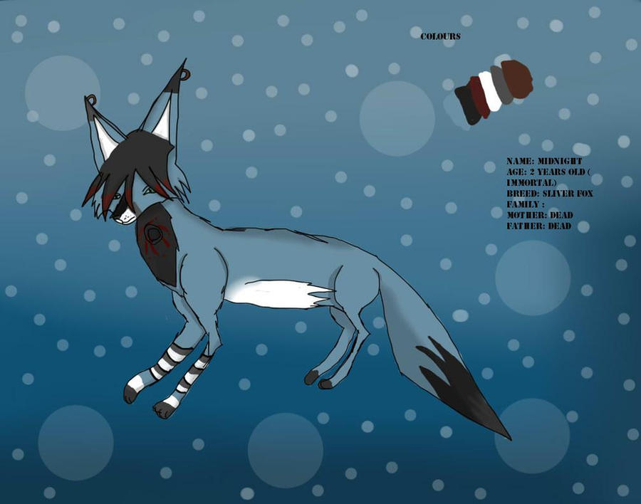 Midnight Fox Rabbit Midnight fox references sheet by MidnightFox11 on DeviantArt
