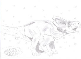 Protoceratops