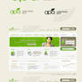 APA logo and web design