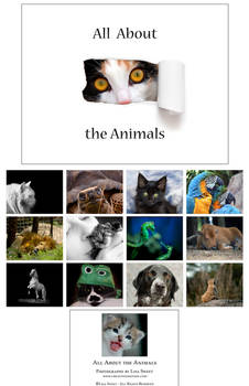 All about the animals calendar