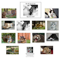 For the love of cats calendar