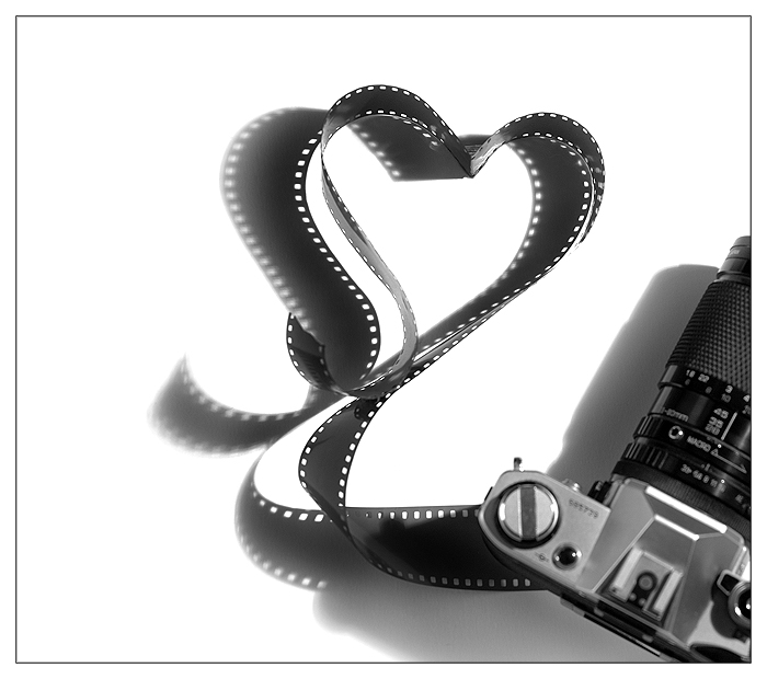 -for the love of film- by fangedfem