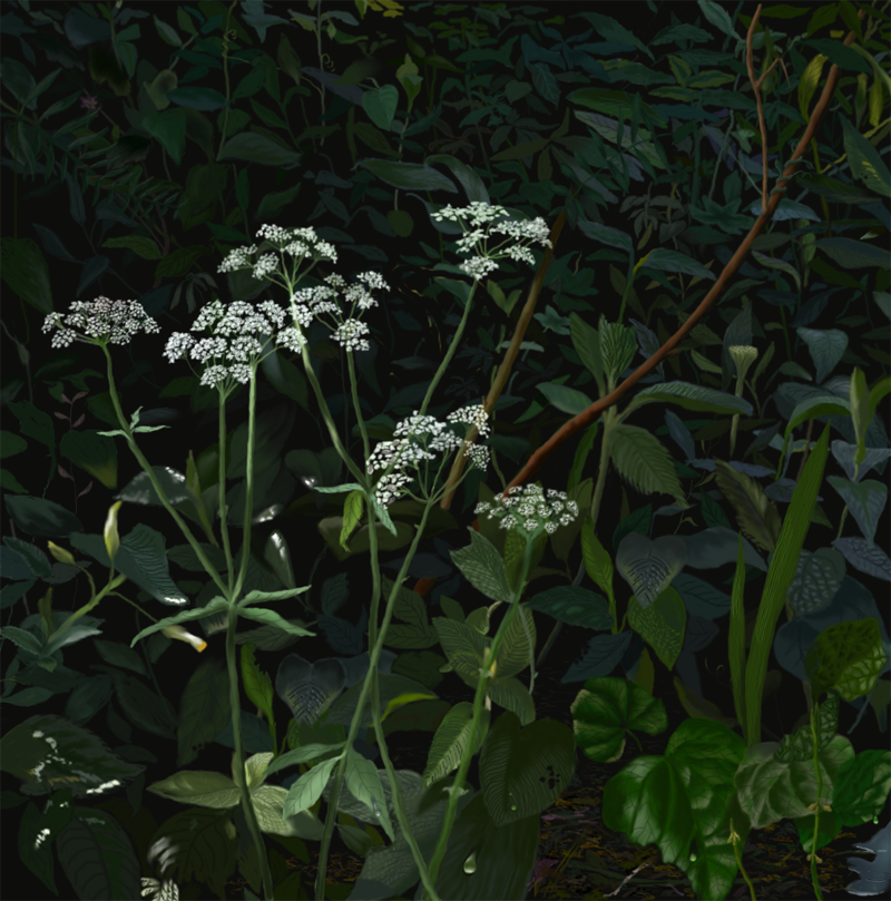 Deviantart Rdf weeds by rdf on DeviantArt