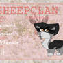 RaccoonKit |Sheepclan application HDW|