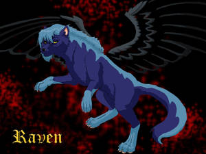 Raven for katiem5259