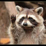 Put your hands in the air