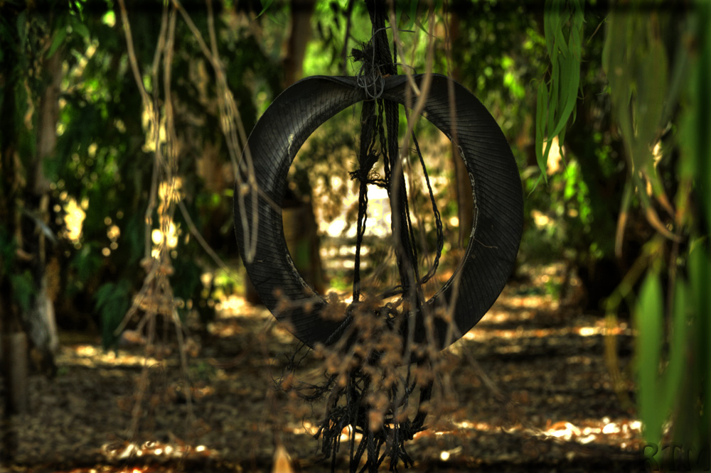 Tire Swing