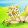 ITS A PUPPY PUPPY POKEMON