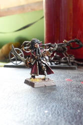 Warhammer pirate captain