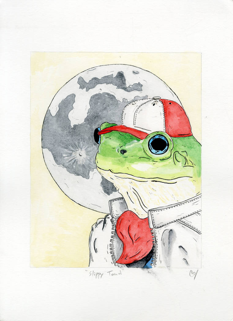 Slippy Toad by TheBeardedGoldfish on DeviantArt