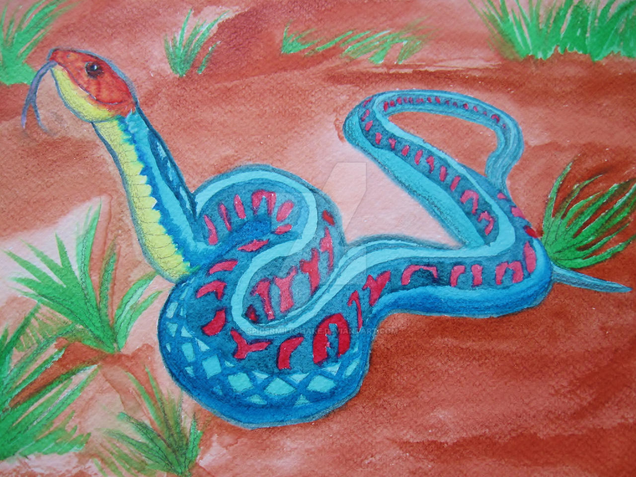 Red-sided California Gartersnake by SpiderMilkshake on DeviantArt