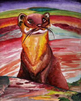 Least Weasel