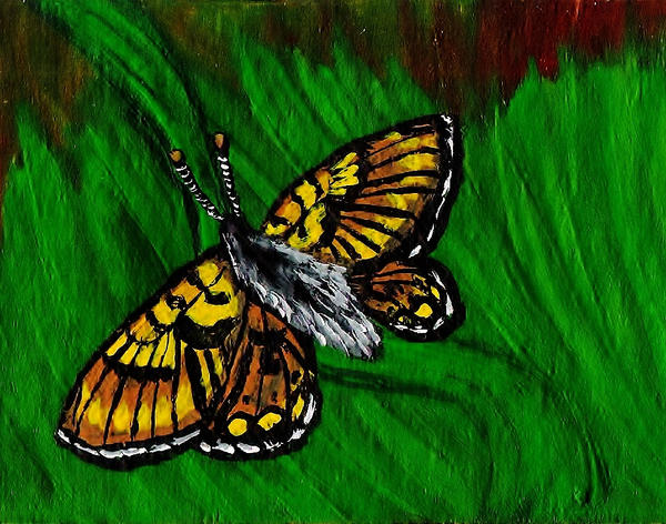 ATC--Marsh Fritillary