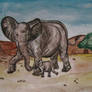 African Elephant(s)