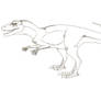 Eustreptospondylus Lineart